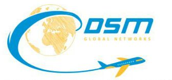 DSM Global Network